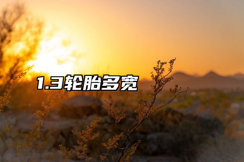 1.3轮胎多宽