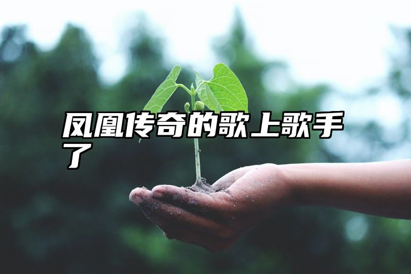 凤凰传奇的歌上歌手了