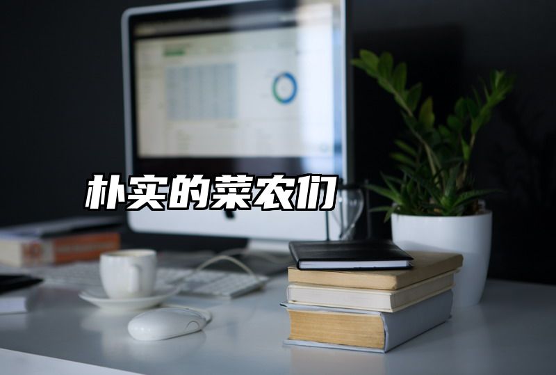 朴实的菜农们