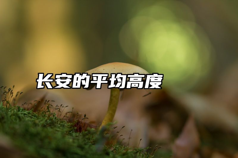 长安的平均高度