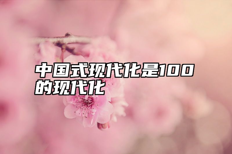 中国式现代化是100的现代化