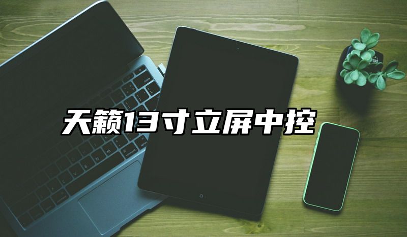 天籁13寸立屏中控