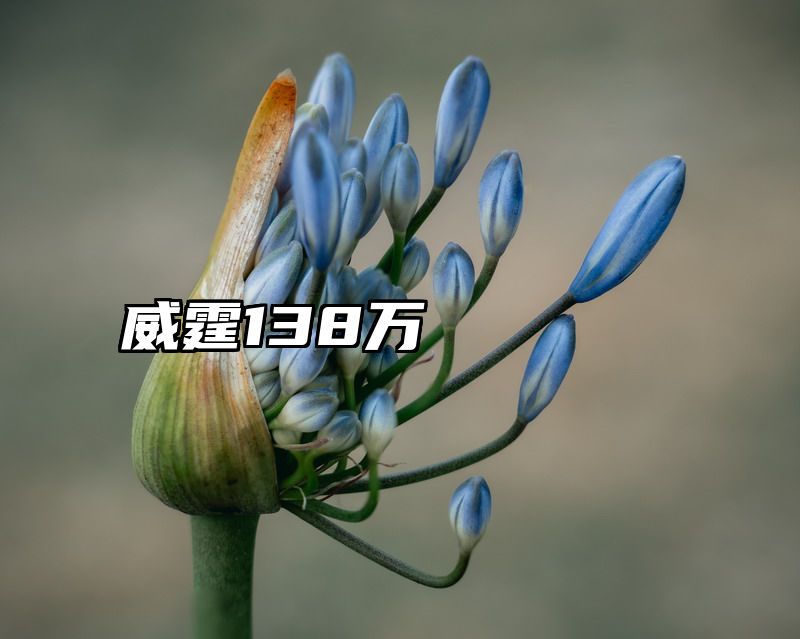 威霆138万