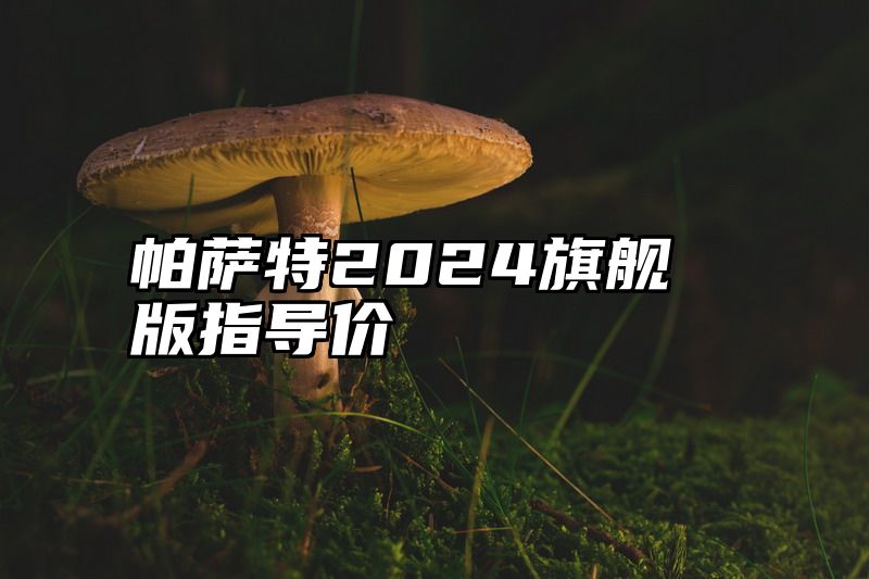 帕萨特2024旗舰版指导价