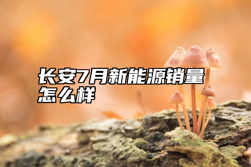 长安7月新能源销量怎么样
