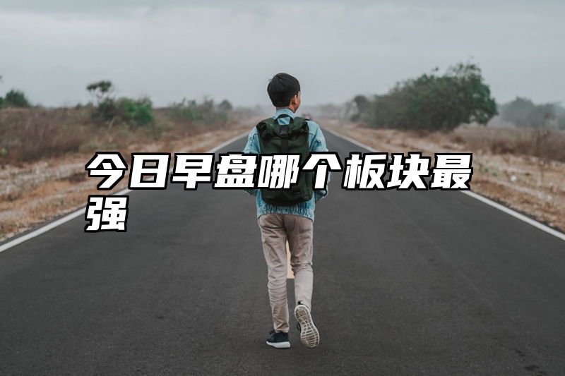 今日早盘哪个板块最强