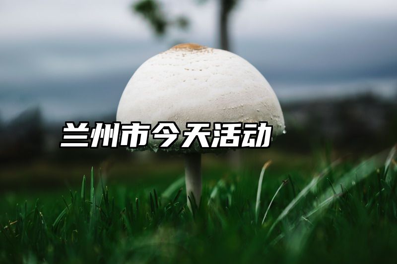 兰州市今天活动