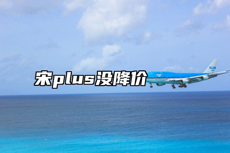 宋plus没降价