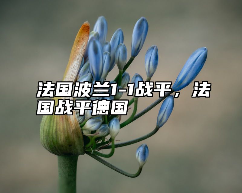 法国波兰1-1战平，法国战平德国