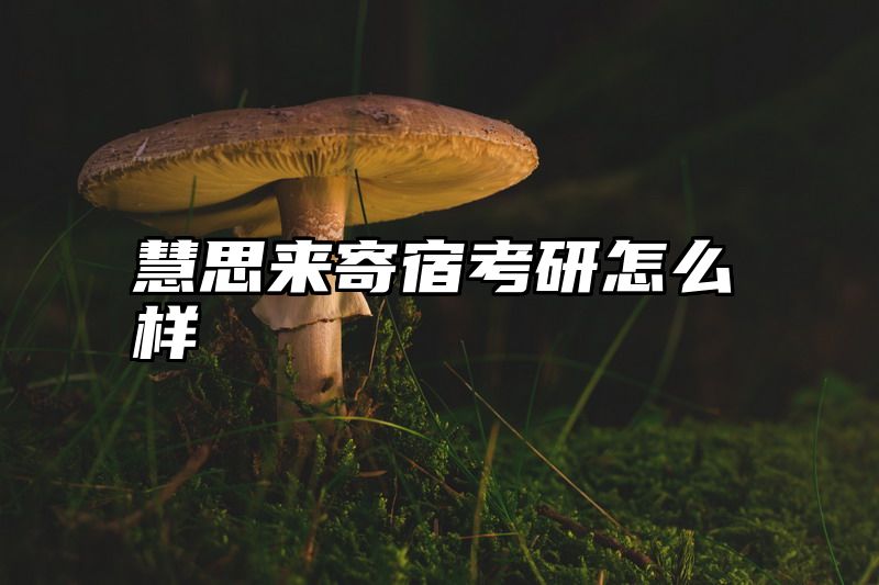 慧思来寄宿考研怎么样