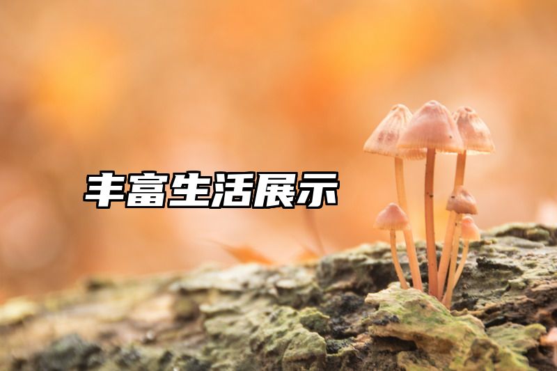 丰富生活展示