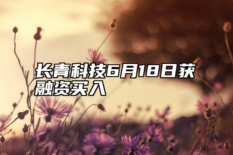 长青科技6月18日获融资买入