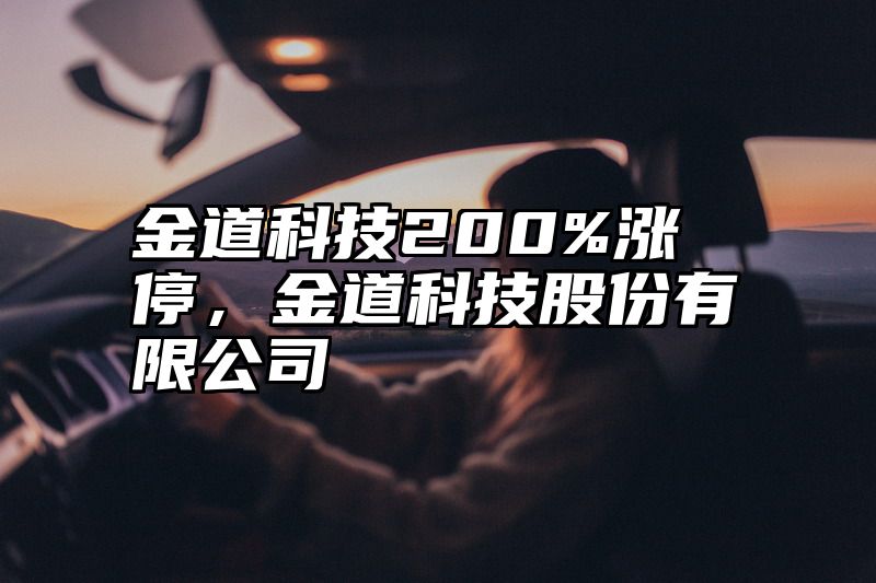 金道科技200%涨停，金道科技股份有限公司