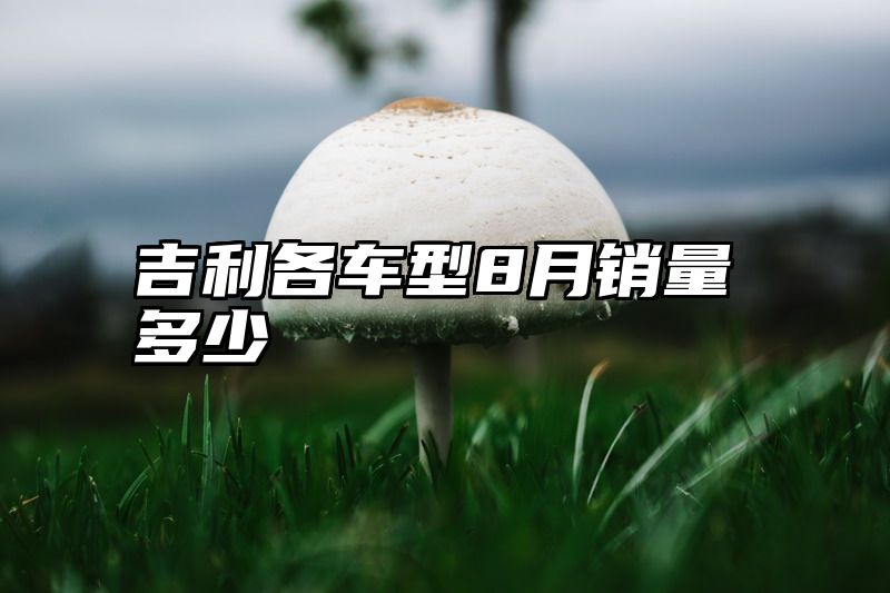 吉利各车型8月销量多少