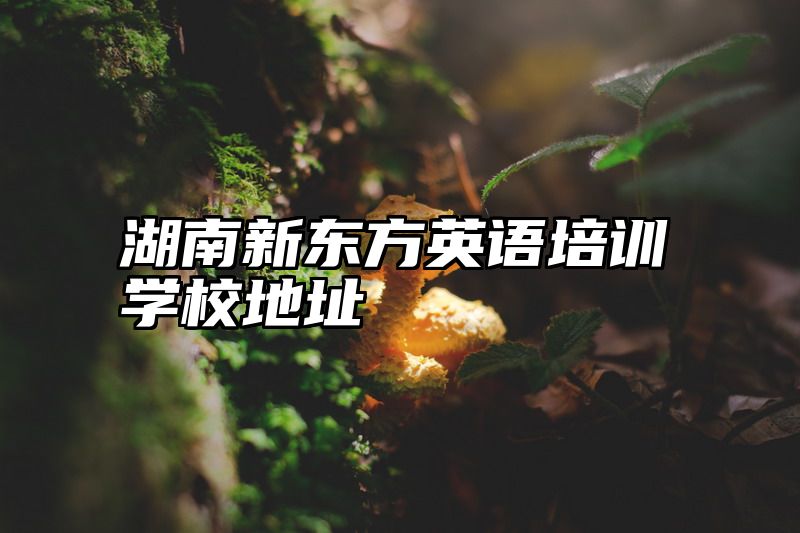 湖南新东方英语培训学校地址