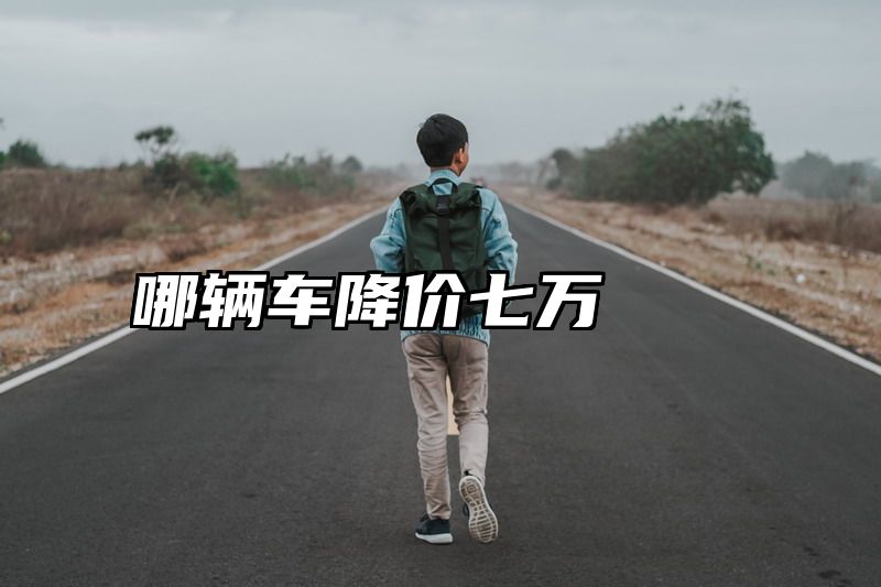 哪辆车降价七万