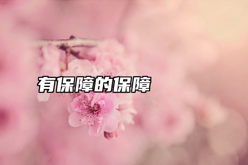 有保障的保障