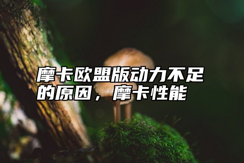 摩卡欧盟版动力不足的原因，摩卡性能