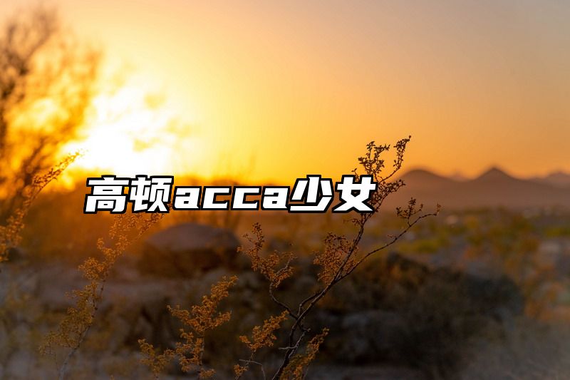 高顿acca少女