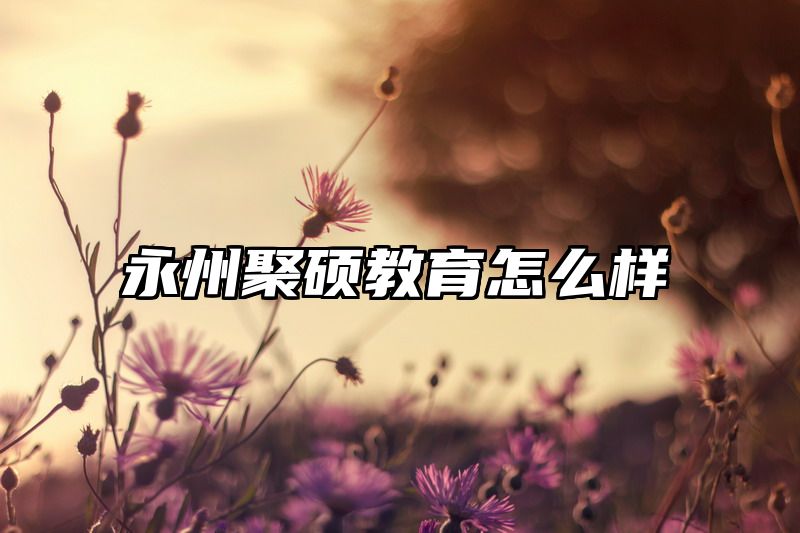 永州聚硕教育怎么样