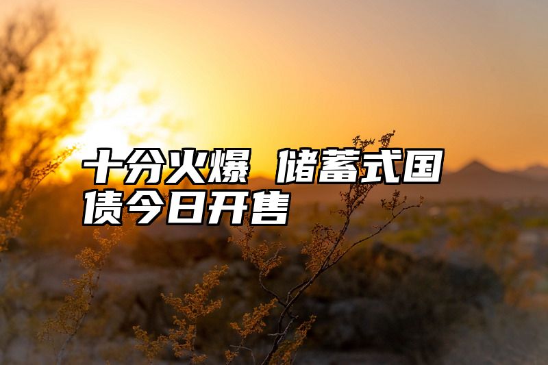 十分火爆 储蓄式国债今日开售