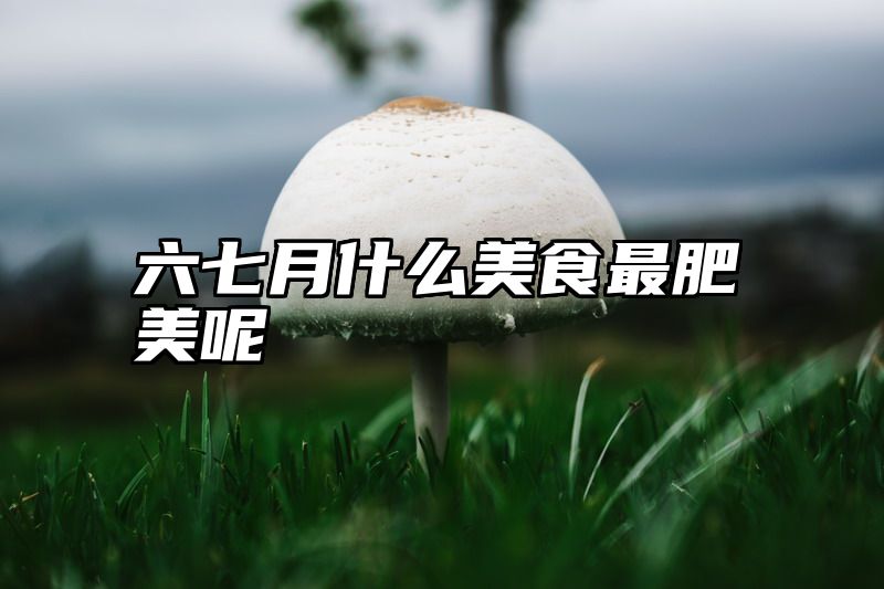 六七月什么美食最肥美呢