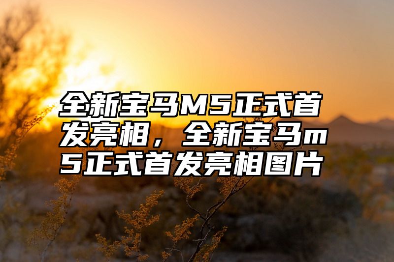 全新宝马M5正式首发亮相，全新宝马m5正式首发亮相图片