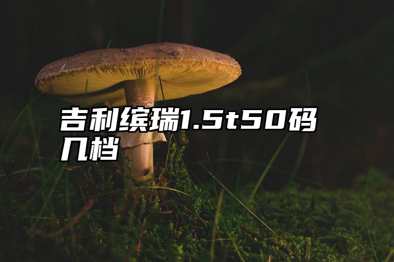 吉利缤瑞1.5t50码几档