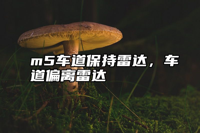m5车道保持雷达，车道偏离雷达