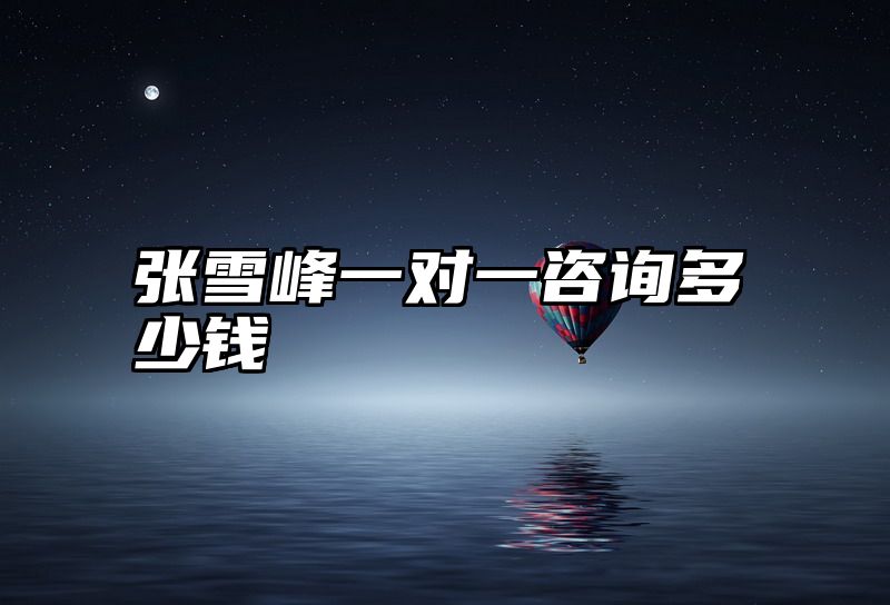 张雪峰一对一咨询多少钱