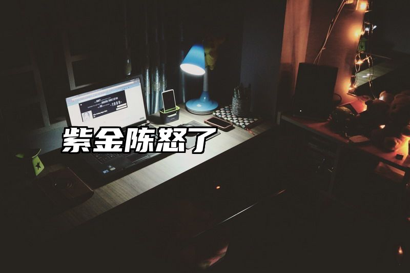 点击查看《紫金陈怒了》全文