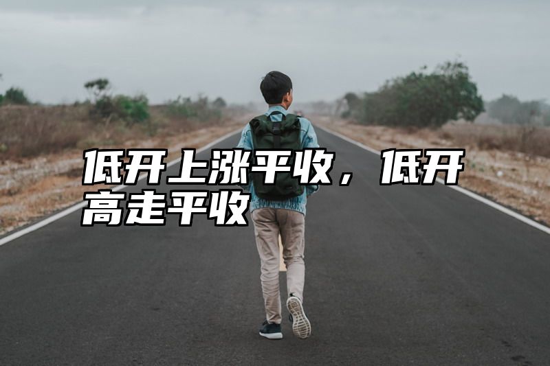 低开上涨平收，低开高走平收