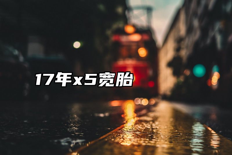 17年x5宽胎