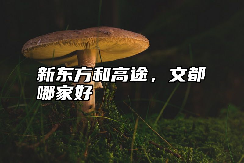 新东方和高途，文都哪家好