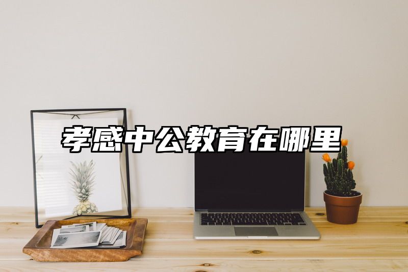 孝感中公教育在哪里