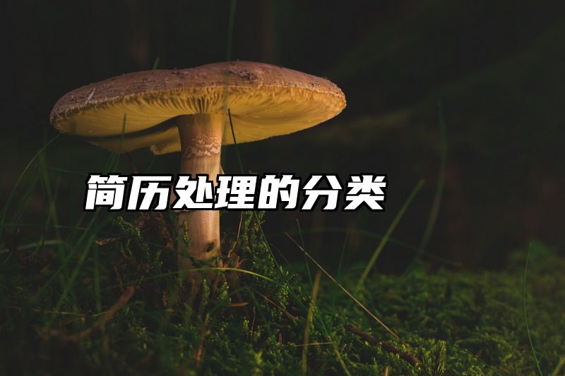 简历处理的分类