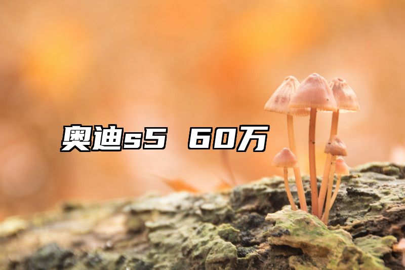 奥迪s5 60万