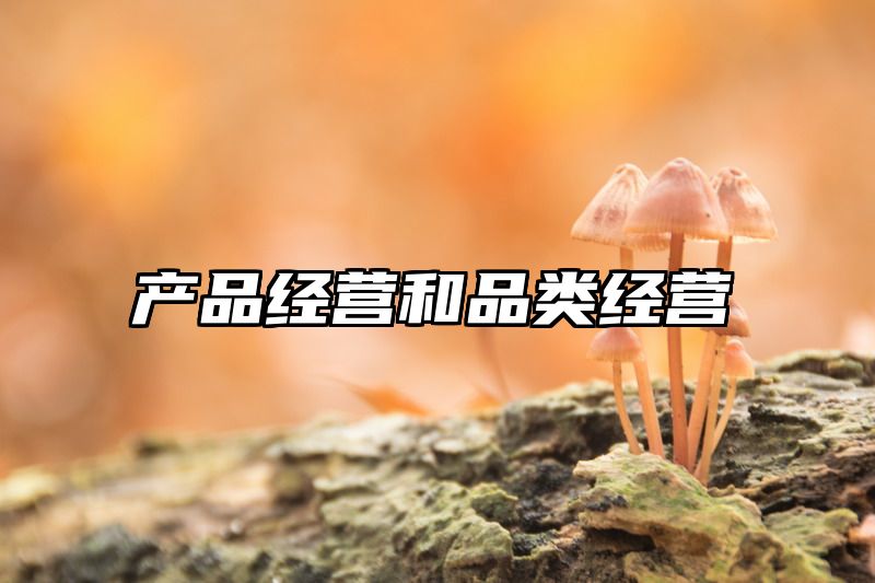产品经营和品类经营