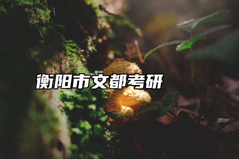 衡阳市文都考研