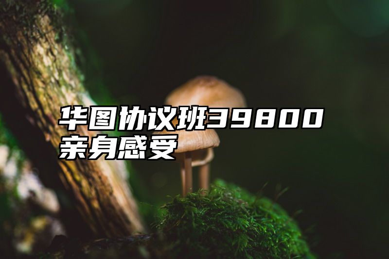 华图协议班39800亲身感受