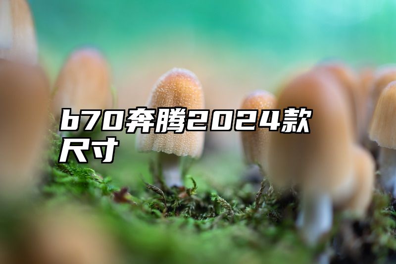 b70奔腾2024款尺寸