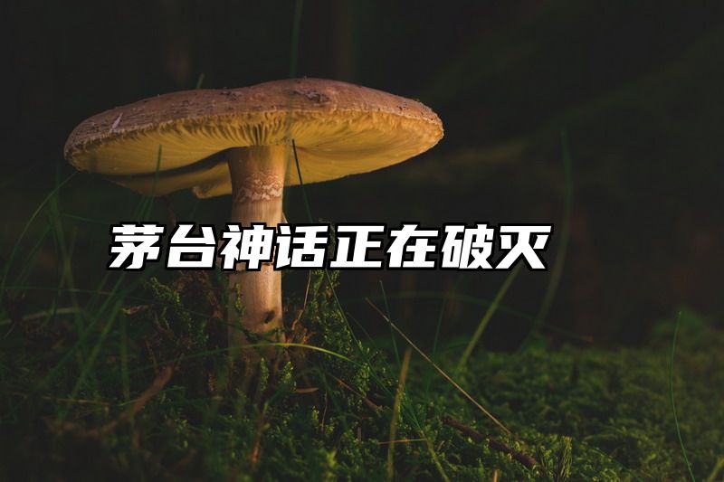 茅台神话正在破灭