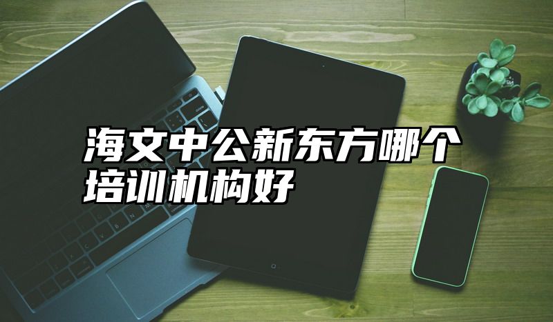 海文中公新东方哪个培训机构好