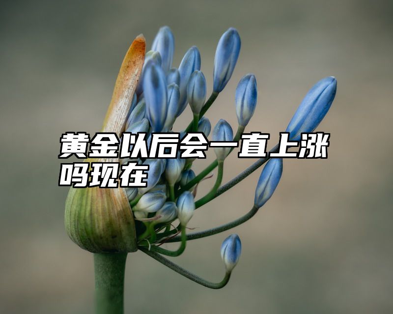 黄金以后会一直上涨吗现在