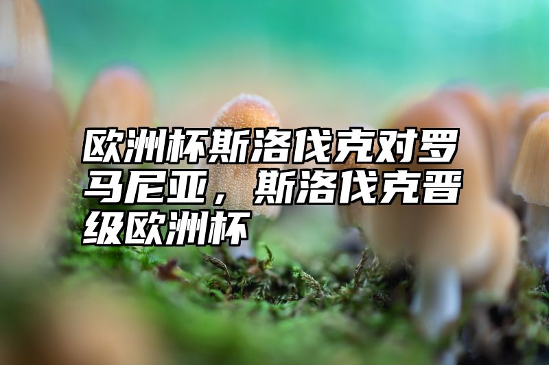 欧洲杯斯洛伐克对罗马尼亚，斯洛伐克晋级欧洲杯