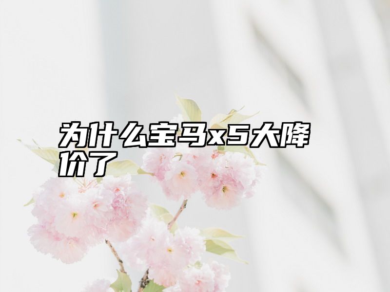 为什么宝马x5大降价了