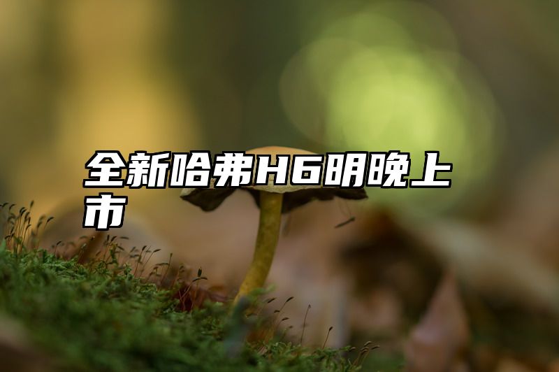 全新哈弗H6明晚上市