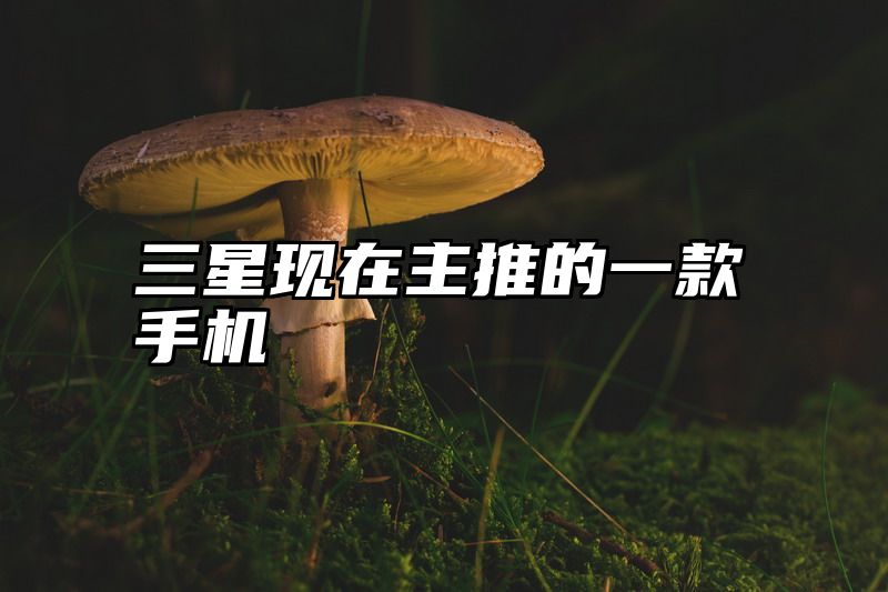 三星现在主推的一款手机