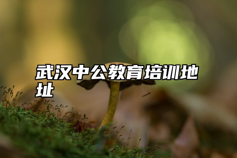 武汉中公教育培训地址