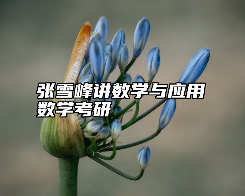 张雪峰讲数学与应用数学考研